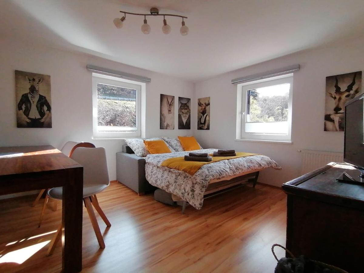 Apartment In Dienten With Mountain Views ดีนเทน อัม โฮคเคอนิก ภายนอก รูปภาพ